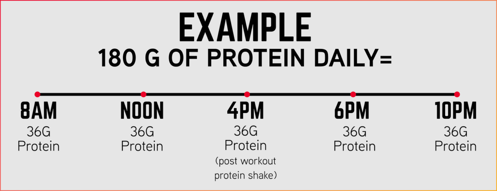 Protein Timing