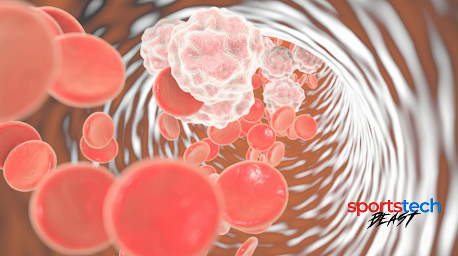 How Omega-3s Fight Inflammation and Boost Your Athletic Edge 3 image 19